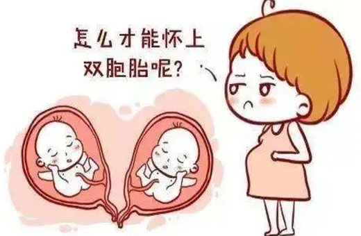 伊朗试管婴儿