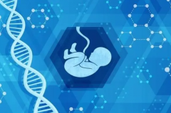 试管婴儿怎样人工取精