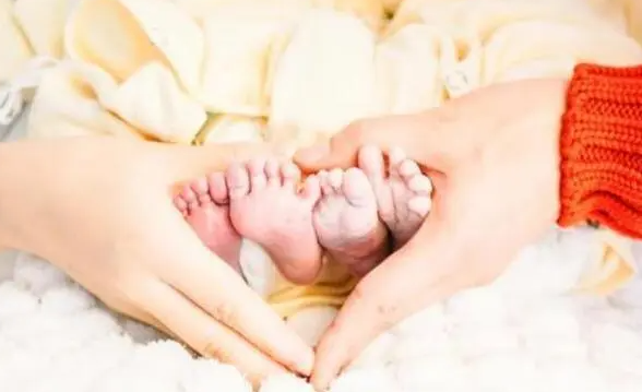 伊朗试管婴儿