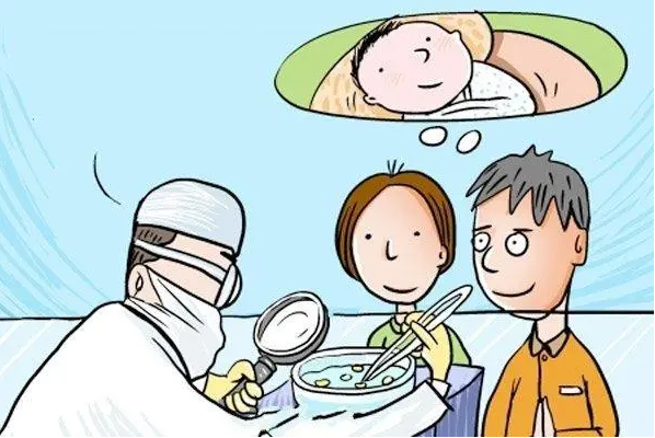 伊朗试管婴儿