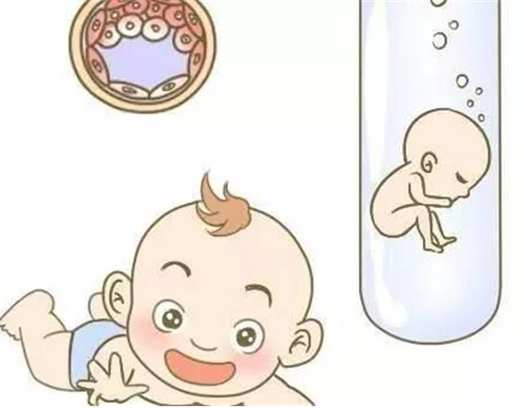 伊朗试管婴儿