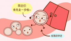 试管婴儿黄体酮用量，伊朗试管婴儿