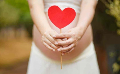 试管婴儿怀孕后出血类似月经，伊朗试管婴儿