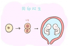 一代试管婴儿成功率有多少